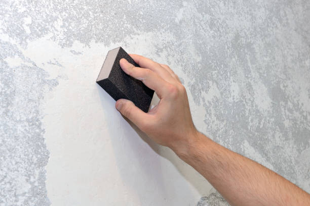Best Mold Odor Removal Services  in Fall Creek, WI