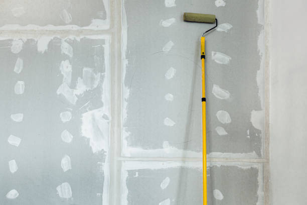 Best Attic Mold Removal  in Fall Creek, WI