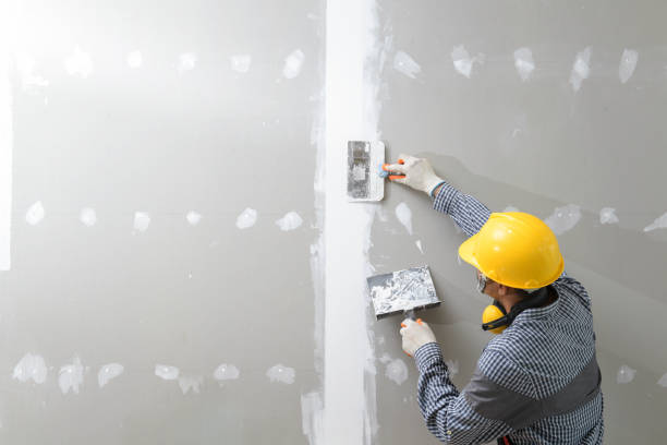  Fall Creek, WI Mold Removal Pros