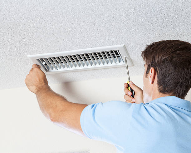 Trusted Fall Creek, WI Mold Removal Experts