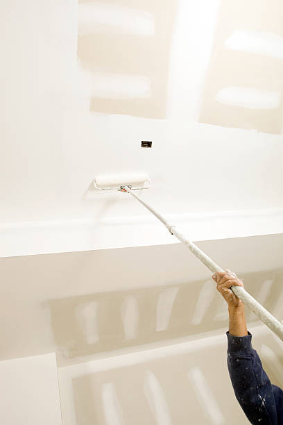 Best Basement Mold Removal  in Fall Creek, WI