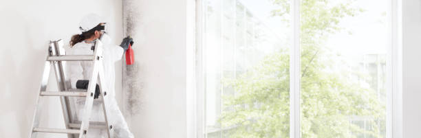 Best Mold Remediation for Healthcare Facilities  in Fall Creek, WI