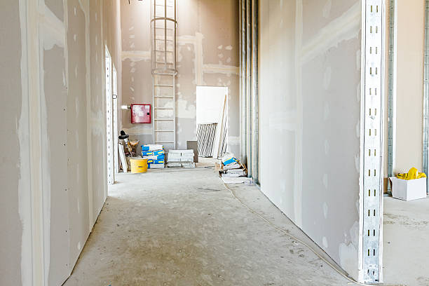Best Black Mold Removal  in Fall Creek, WI